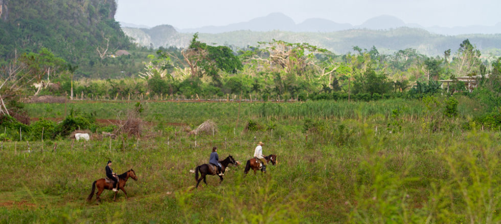 Cuba 2022 ©BillOakes