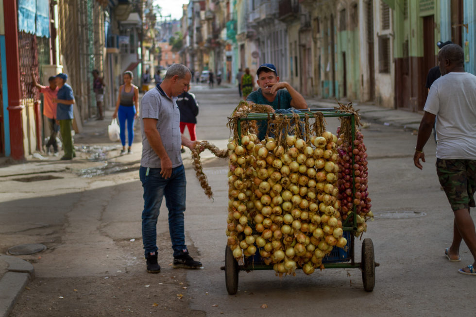 Cuba 2020 ©BillOakes