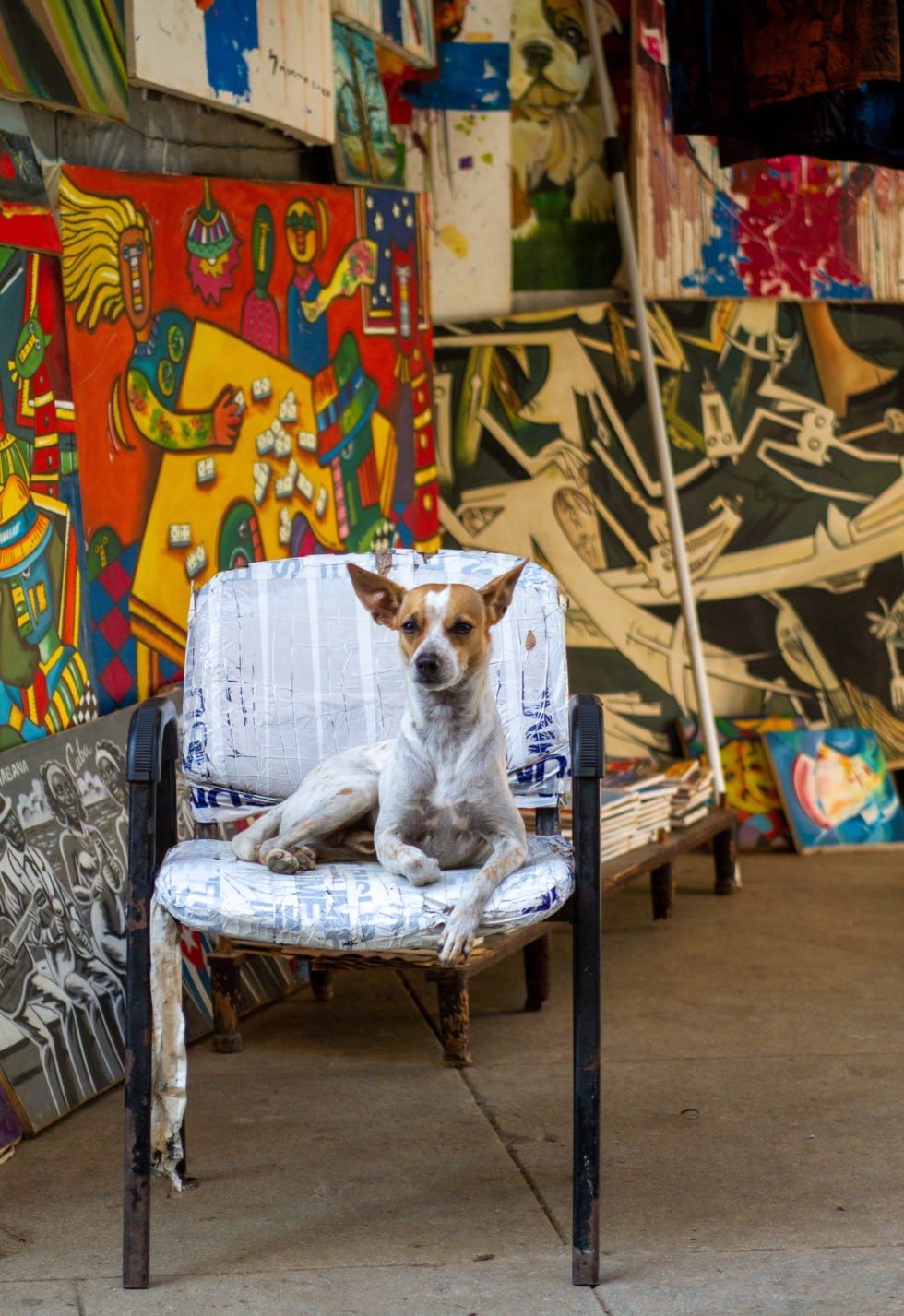 Cuba 2020 ©BillOakes