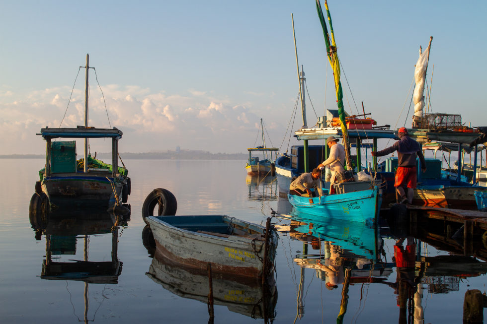 Cuba 2020 ©BillOakes