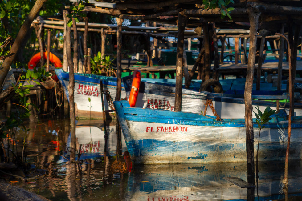 Cuba 2020 ©BillOakes