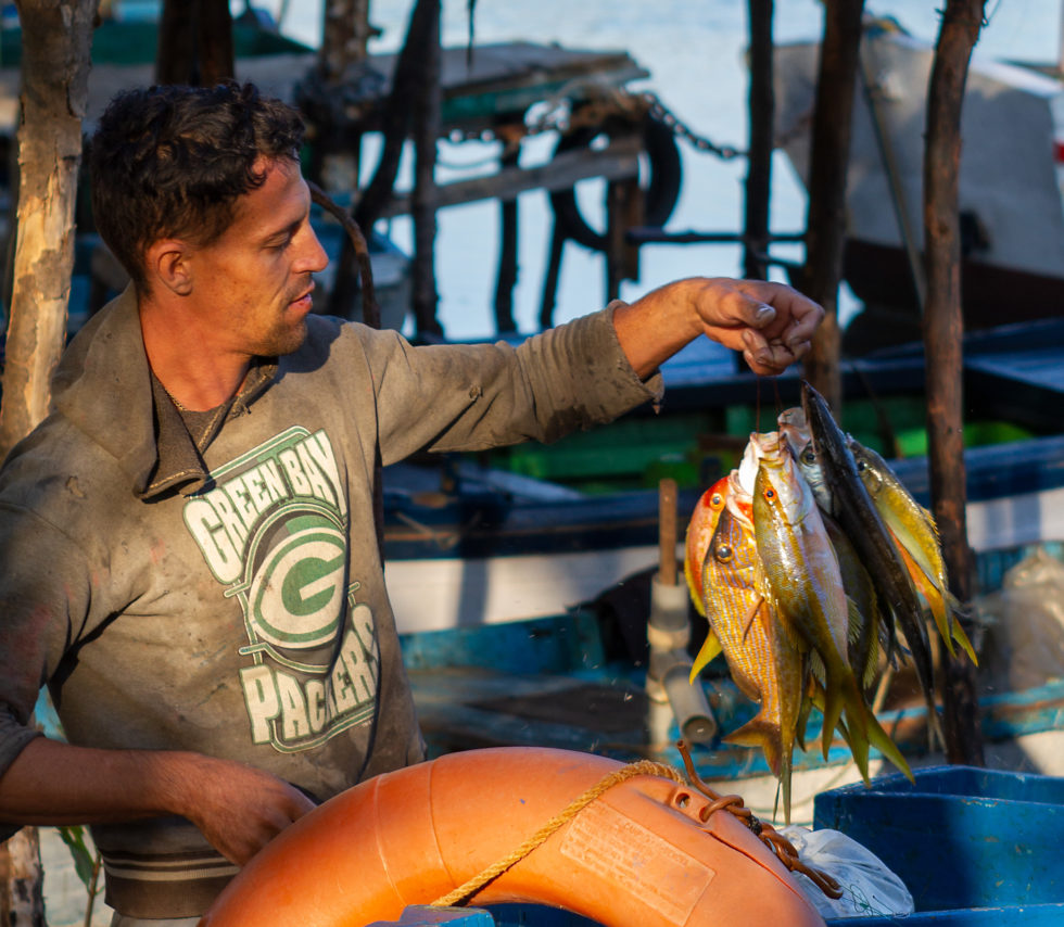 Cuba 2020 ©BillOakes