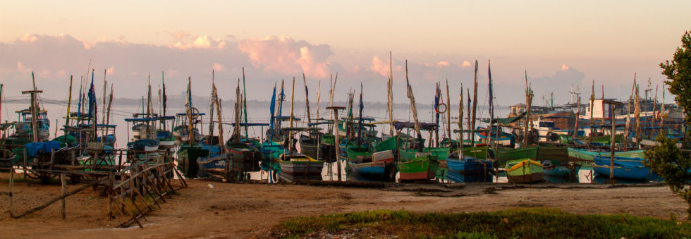 Cuba 2020 ©BillOakes