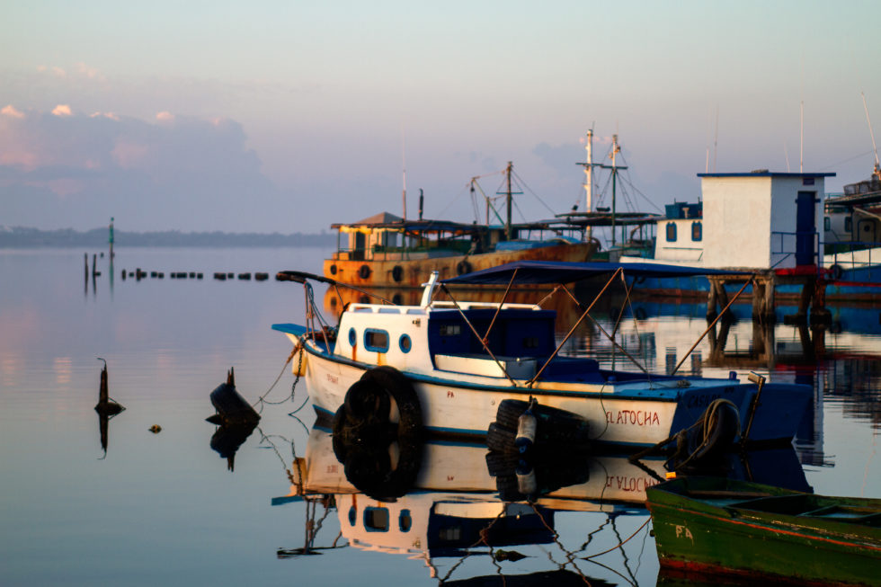 Cuba 2020 ©BillOakes