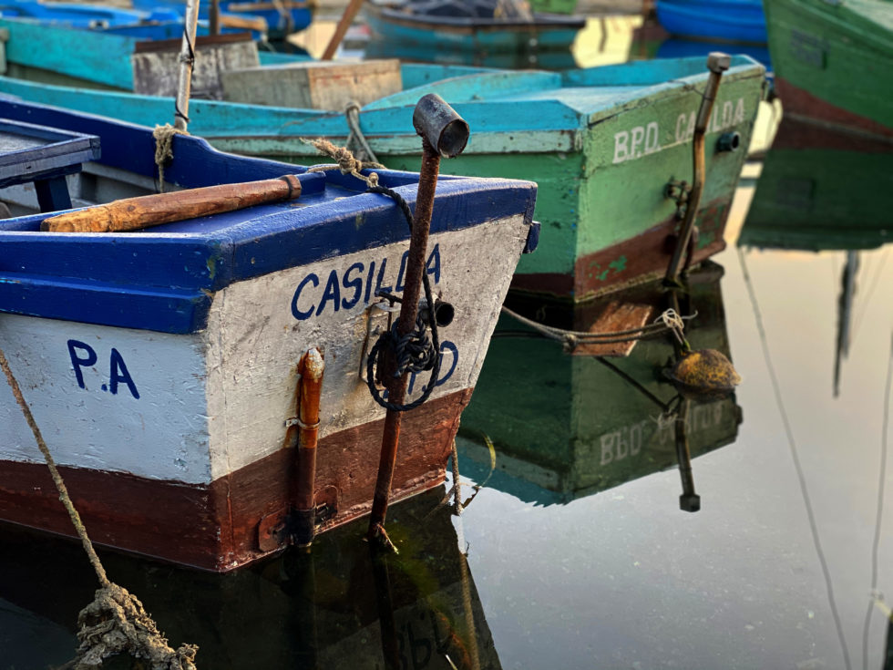 Cuba 2020 ©BillOakes