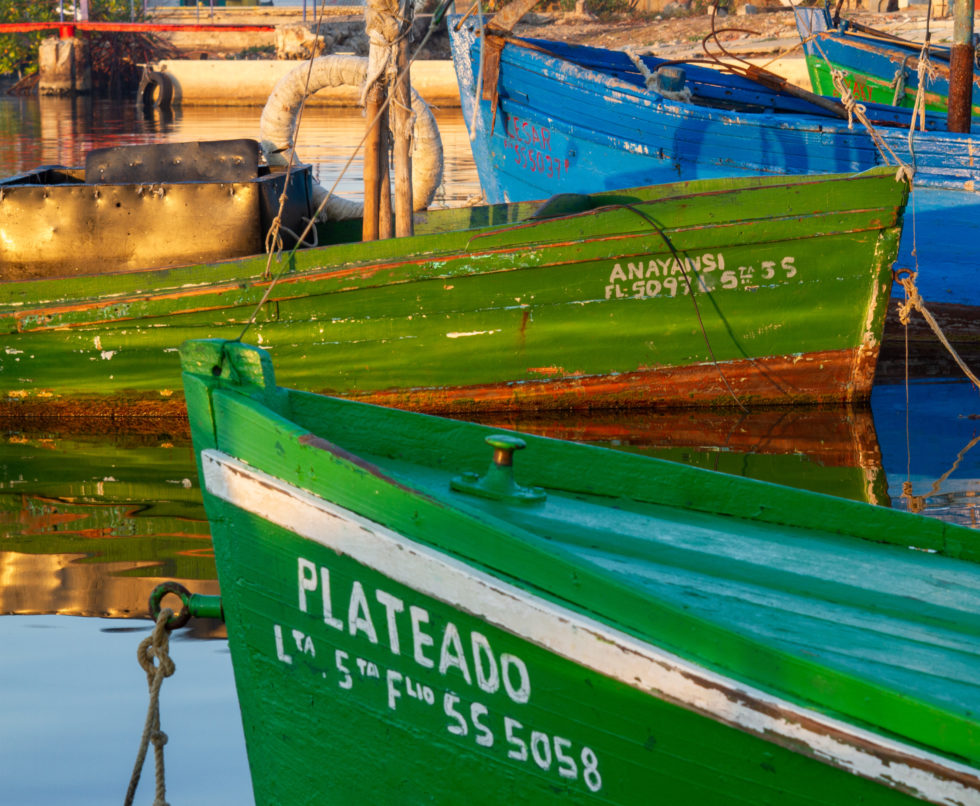 Cuba 2020 ©BillOakes