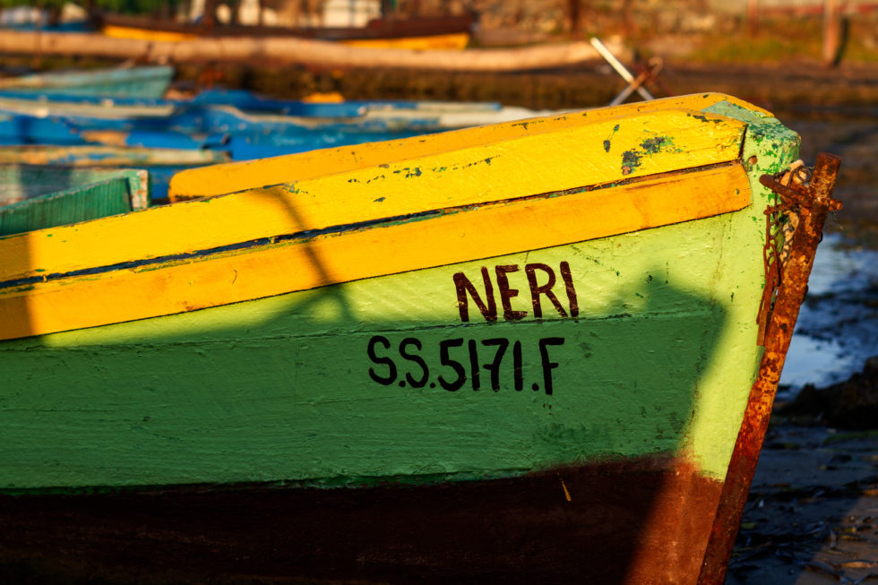 Cuba 2020 ©BillOakes