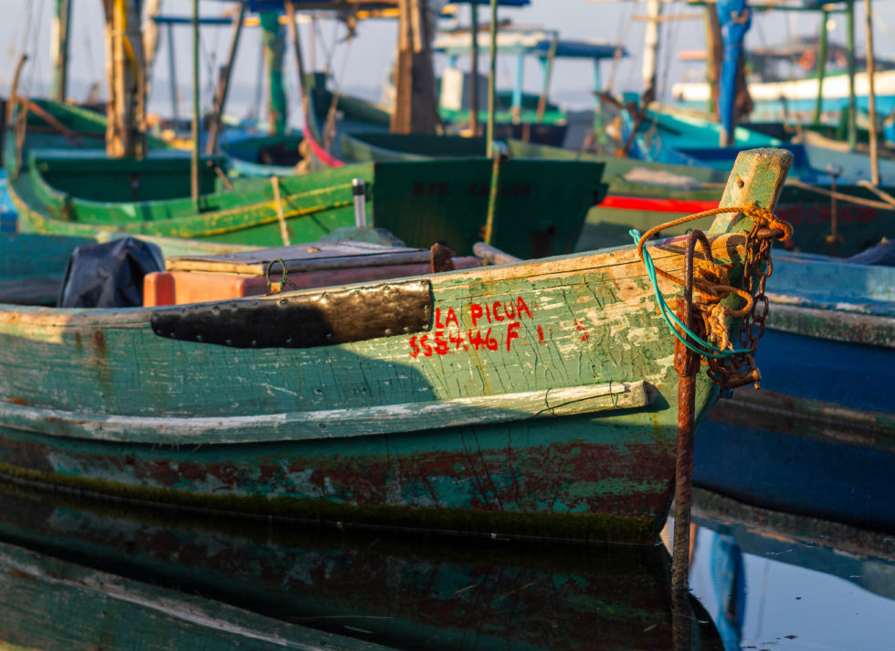 Cuba 2020 ©BillOakes