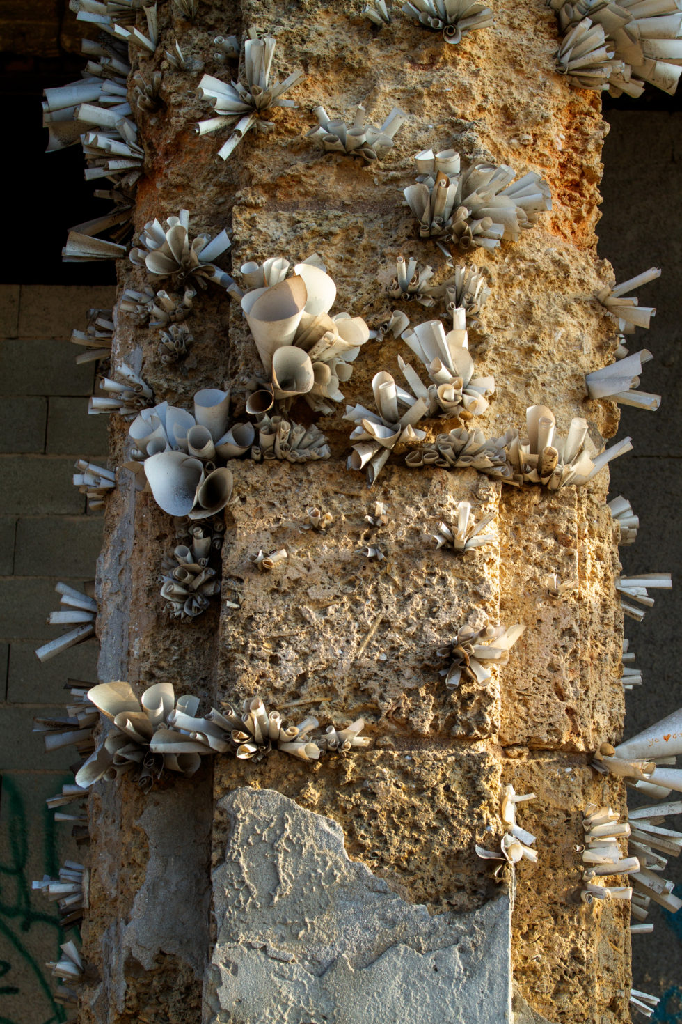 Cuba 2020 ©BillOakes