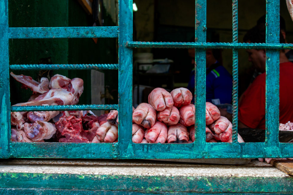 Cuba 2020 ©BillOakes