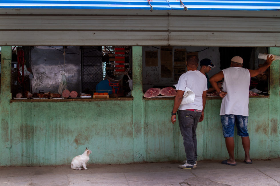 Cuba 2020 ©BillOakes